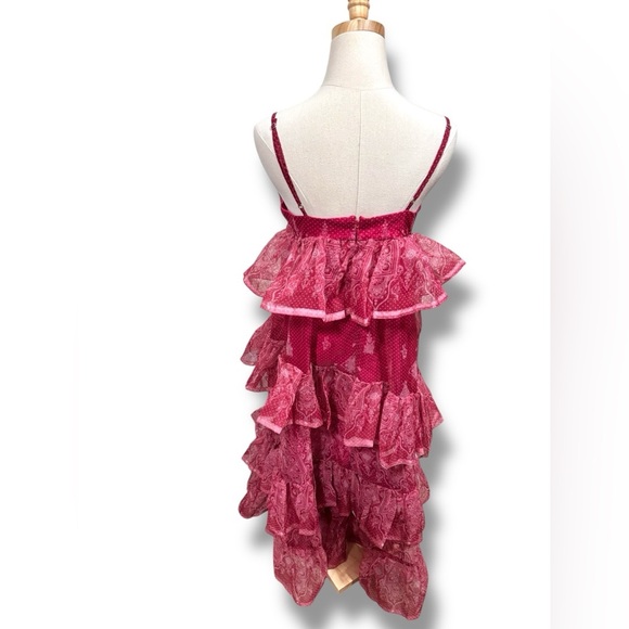 NWT Anthropologie Let Me Be Sleeveless Sheer Tiered Pink Layered Midi Dress M - Picture 3 of 14